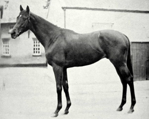 Stallion Windsor Slipper xx (English Thoroughbred, 1939, from Windsor Lad xx)