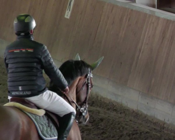 Reitturnier Köngen 2022