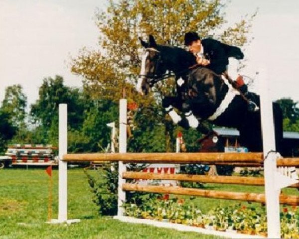 broodmare Noberlina (KWPN (Royal Dutch Sporthorse), 1972, from Garant)