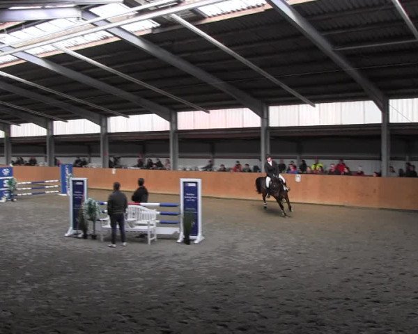 Reitturnier Schlieckau 2022