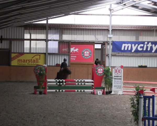 Reitturnier Schlieckau 2022