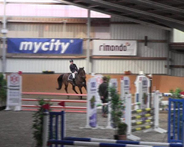 Reitturnier Schlieckau 2022