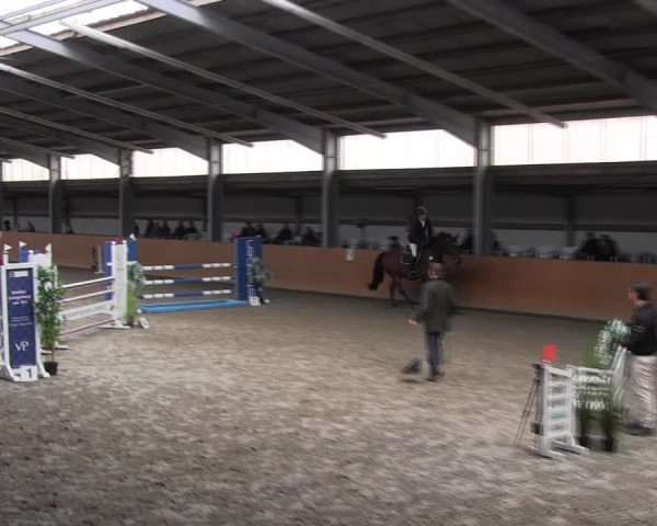 Reitturnier Schlieckau 2022