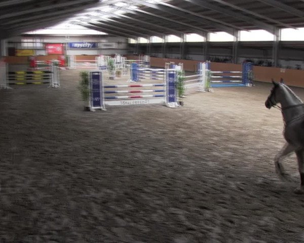 Reitturnier Schlieckau 2022
