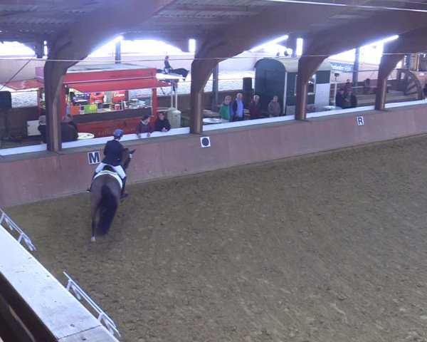Reitturnier Bad Salzuflen 2022
