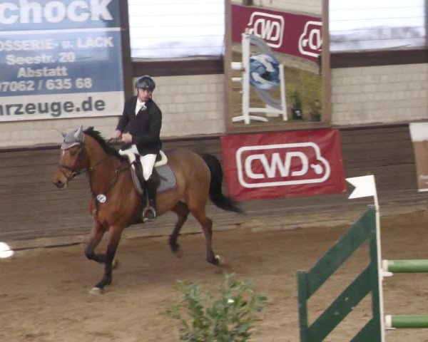 Reitturnier Heilbronn 2022