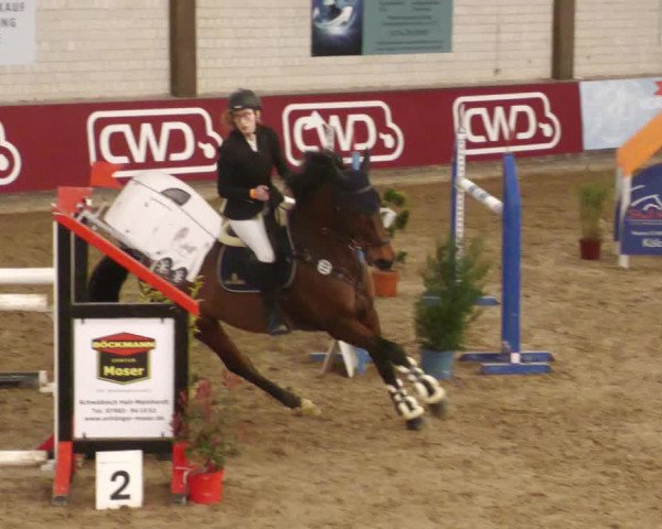 Reitturnier Heilbronn 2022
