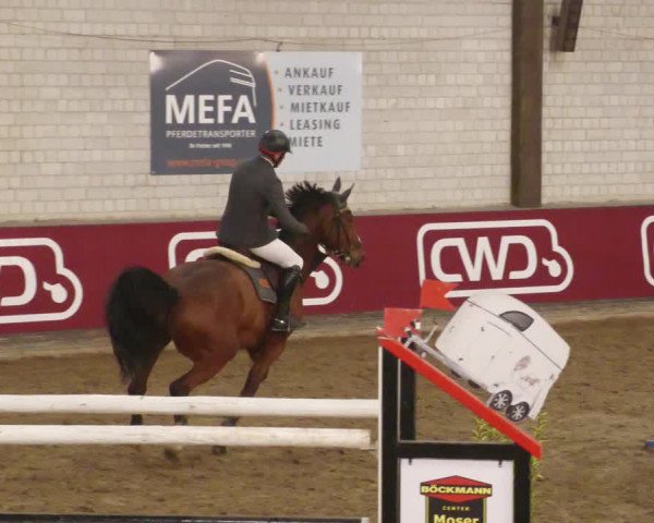 Reitturnier Heilbronn 2022