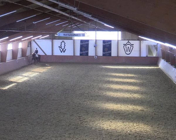 Reitturnier Bad Salzuflen 2022
