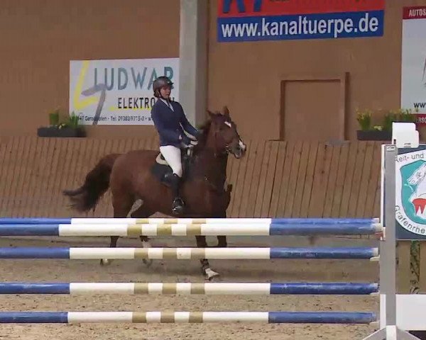 Reitturnier Grafenrheinfeld/Ufr. 2022
