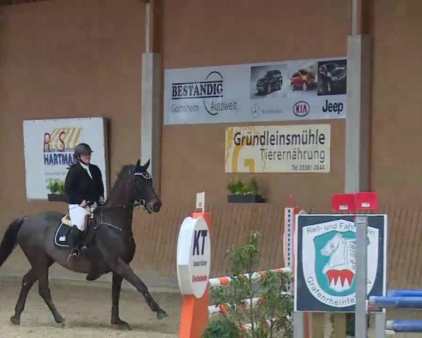 Reitturnier Grafenrheinfeld/Ufr. 2022