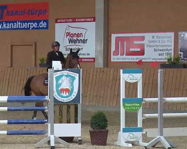 Reitturnier Grafenrheinfeld/Ufr. 2022