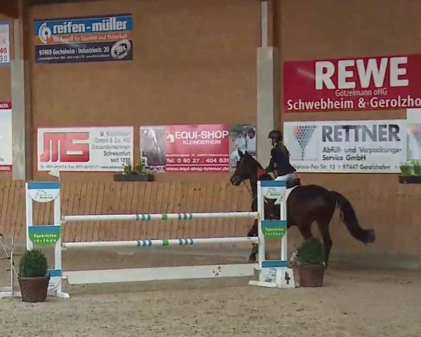 Reitturnier Grafenrheinfeld/Ufr. 2022