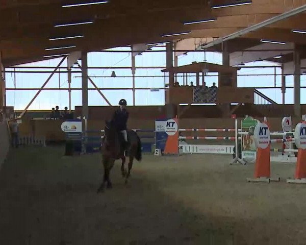 Reitturnier Grafenrheinfeld/Ufr. 2022