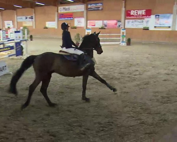 Reitturnier Grafenrheinfeld/Ufr. 2022