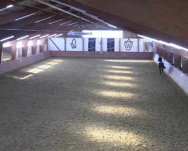 Reitturnier Bad Salzuflen 2022