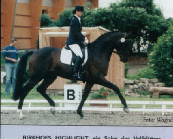 dressage horse Highlight (Zweibrücken, 1999, from Heraldik xx)