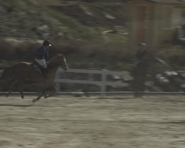 Reitturnier K, St. Margarethen-Stückler 2022