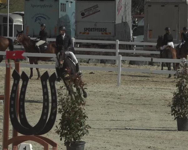 Reitturnier K, St. Margarethen-Stückler 2022