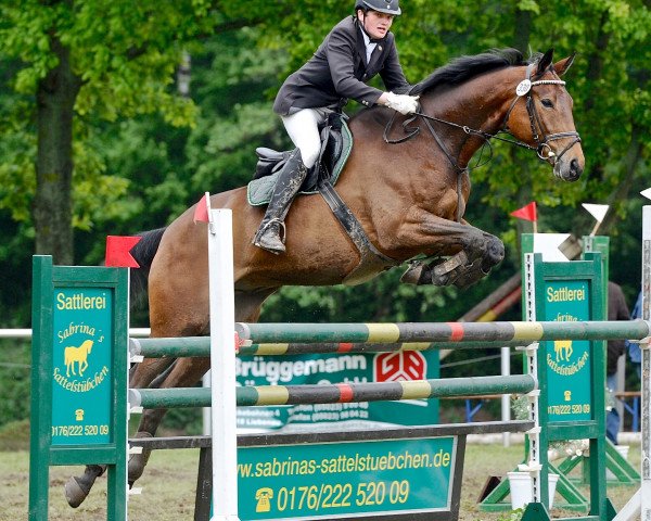 jumper Florentiner 27 (Trakehner, 2005, from Connery)