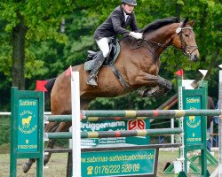 jumper Florentiner 27 (Trakehner, 2005, from Connery)