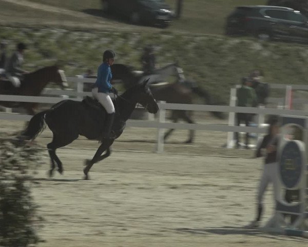 Reitturnier K, St. Margarethen-Stückler 2022