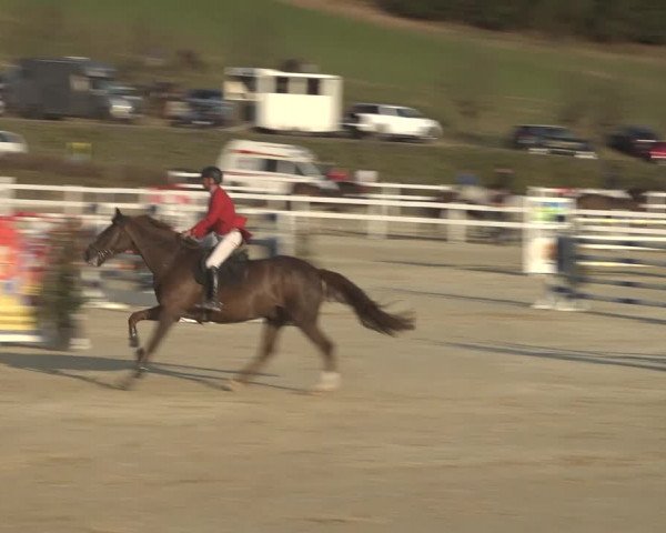Reitturnier K, St. Margarethen-Stückler 2022
