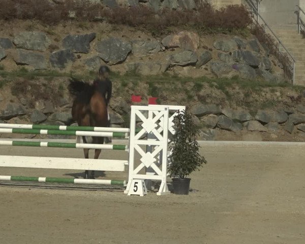 Reitturnier K, St. Margarethen-Stückler 2022