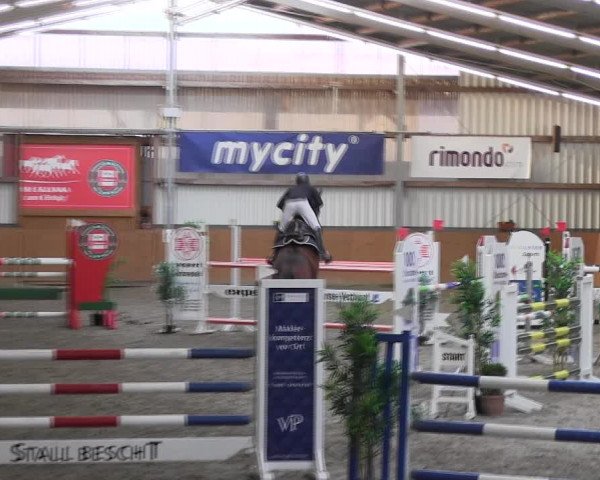 Reitturnier Schlieckau 2022