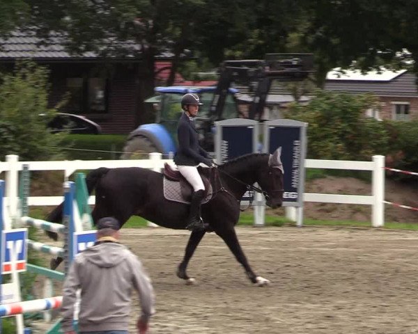 Springturnier Mildstedt 2021