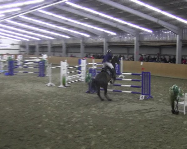 Reitturnier Schlieckau 2022