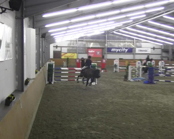 Reitturnier Schlieckau 2022