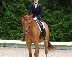 Dressurpferd Paul Panzer (Rheinländer, 2009, von Pricolino)