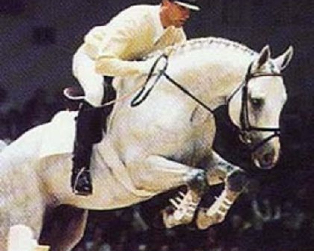 stallion Foxhunter (Hanoverian, 1987, from Watzmann)