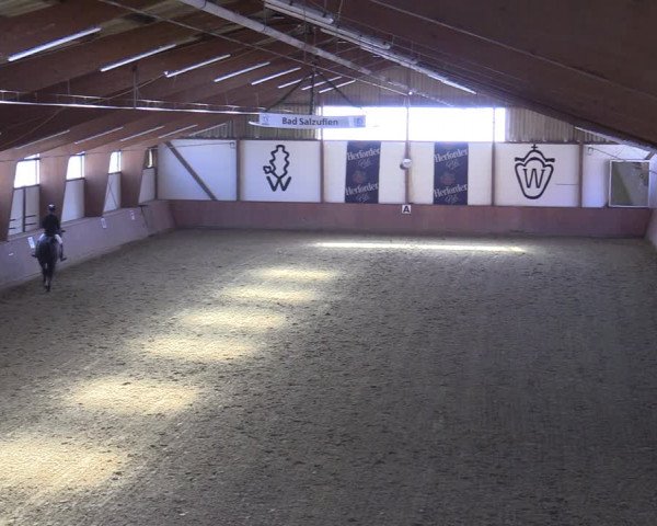 Reitturnier Bad Salzuflen 2022