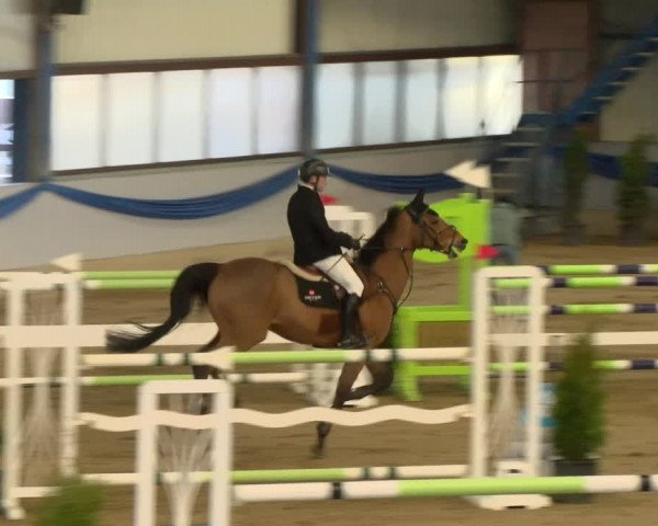 Reitturnier Buchs 2022