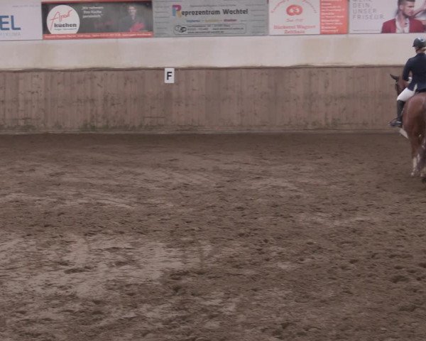 Reitturnier Bobersen 2022