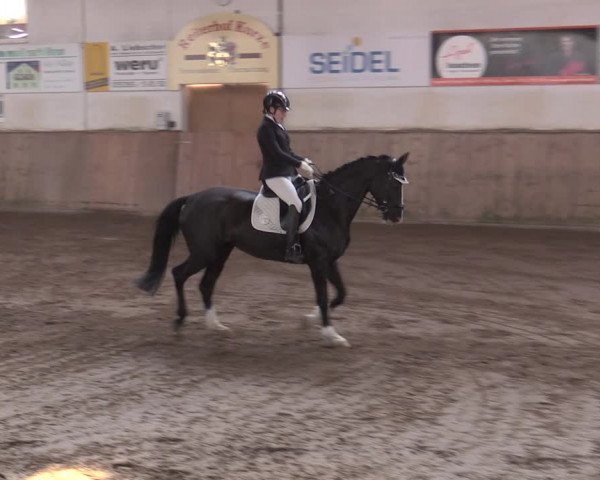 Reitturnier Bobersen 2022