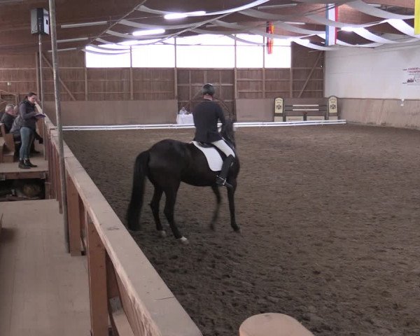 Reitturnier Bobersen 2022