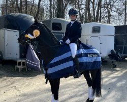 Dressurpferd Dark Dinocchio (Deutsches Reitpony, 2016, von Dating AT NRW)