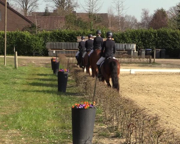 Reitturnier Olfen-Vinnum 2022