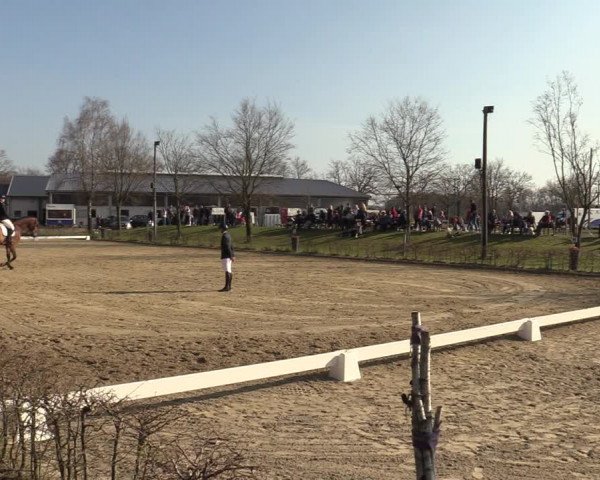 Reitturnier Olfen-Vinnum 2022
