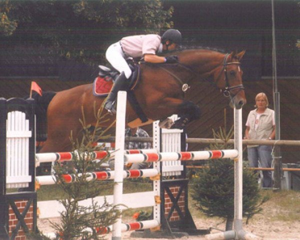 jumper Zanetti (Westphalian, 2000, from Zeus)