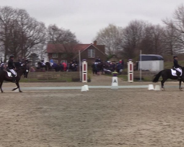 Reitturnier Schülp / Rendsburg 2022