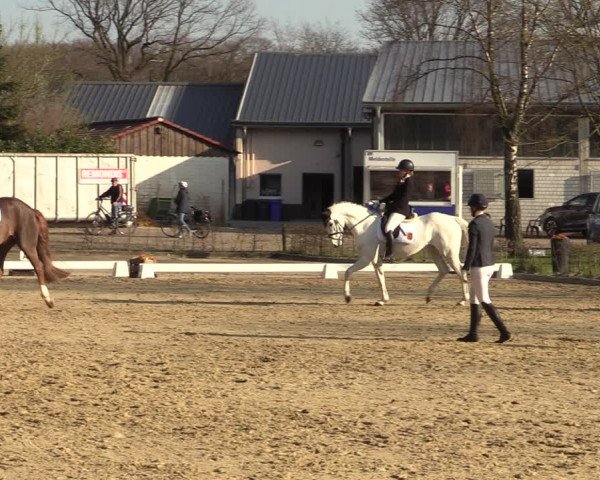 Reitturnier Olfen-Vinnum 2022
