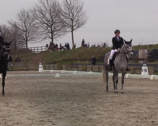 Reitturnier Schülp / Rendsburg 2022