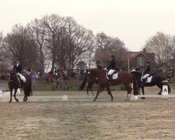 Reitturnier Schülp / Rendsburg 2022