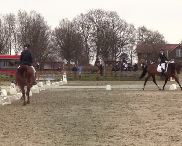 Reitturnier Schülp / Rendsburg 2022