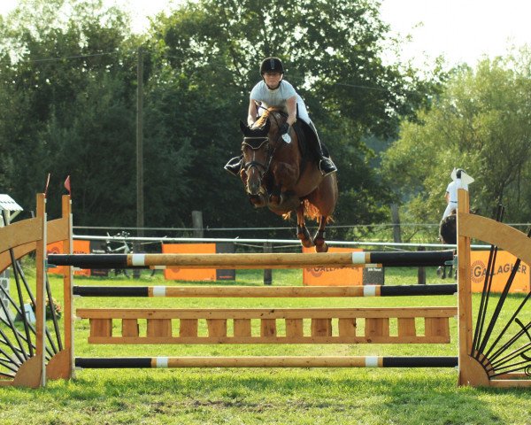 jumper La Boum 16 (Oldenburg, 2007, from Quicksilber)