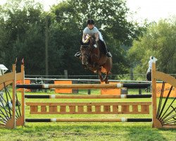 jumper La Boum 16 (Oldenburg, 2007, from Quicksilber)